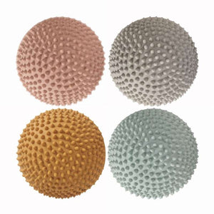 Find That Hippo Sansesten - 4 stk. - Solopgang