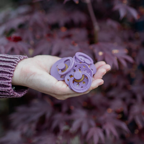 BIBS - Sutter i Sampak