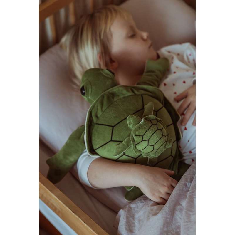 By Astrup Tyngdedyr - Skildpadde - 1.6kg