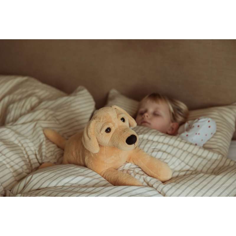 By Astrup Tyngdedyr - Hund - 2.2kg