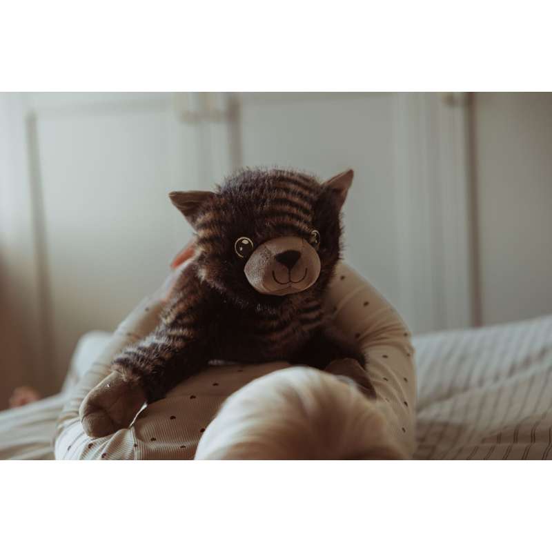 By Astrup Tyngdedyr - Kat - 1.2kg